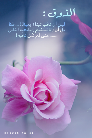 خواطر عن الذوق تويتر 