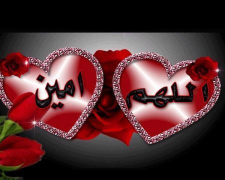 واش الرد على طال عمرك 