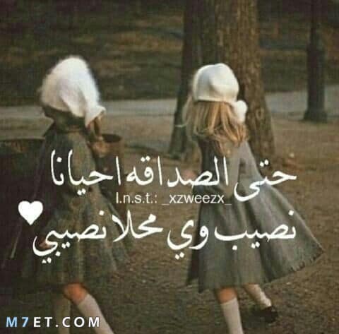 خواطر عن الصديقه تويتر