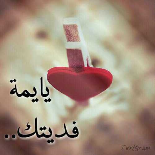 رد على فديتك 