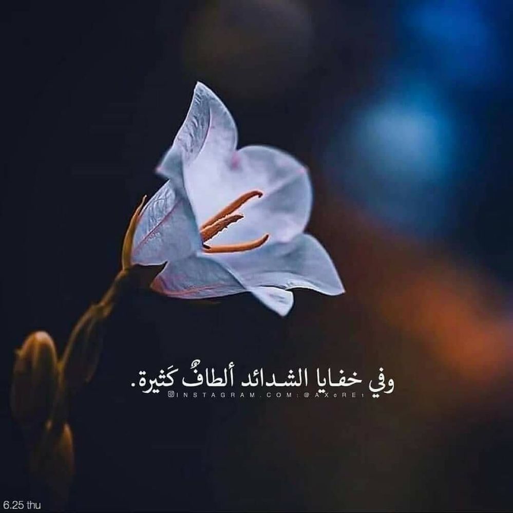 عبارات الرد على والنعم والله