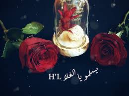 رسائل رد على نورتي