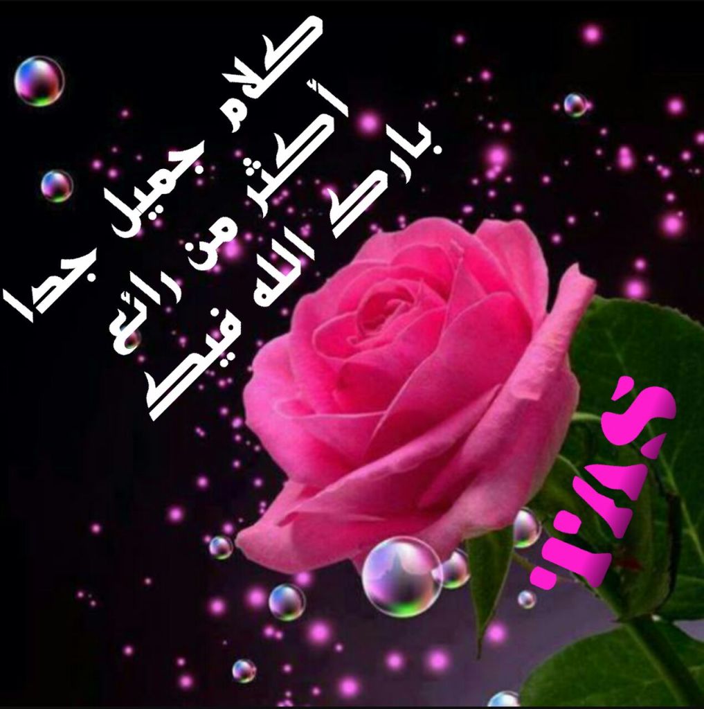  الرد على بارك الله في جهودكم 