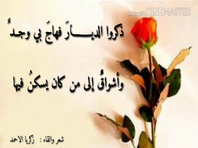 خواطر عن الديار والأهل 