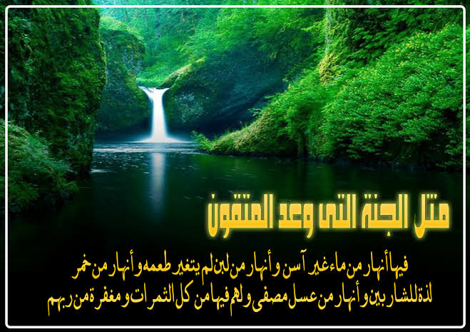 خواطر عن الجنة للواتس