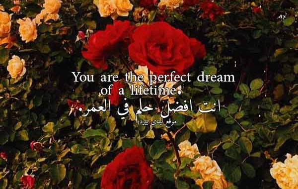 حالات واتساب حب بالانجليزي قصيرة 1