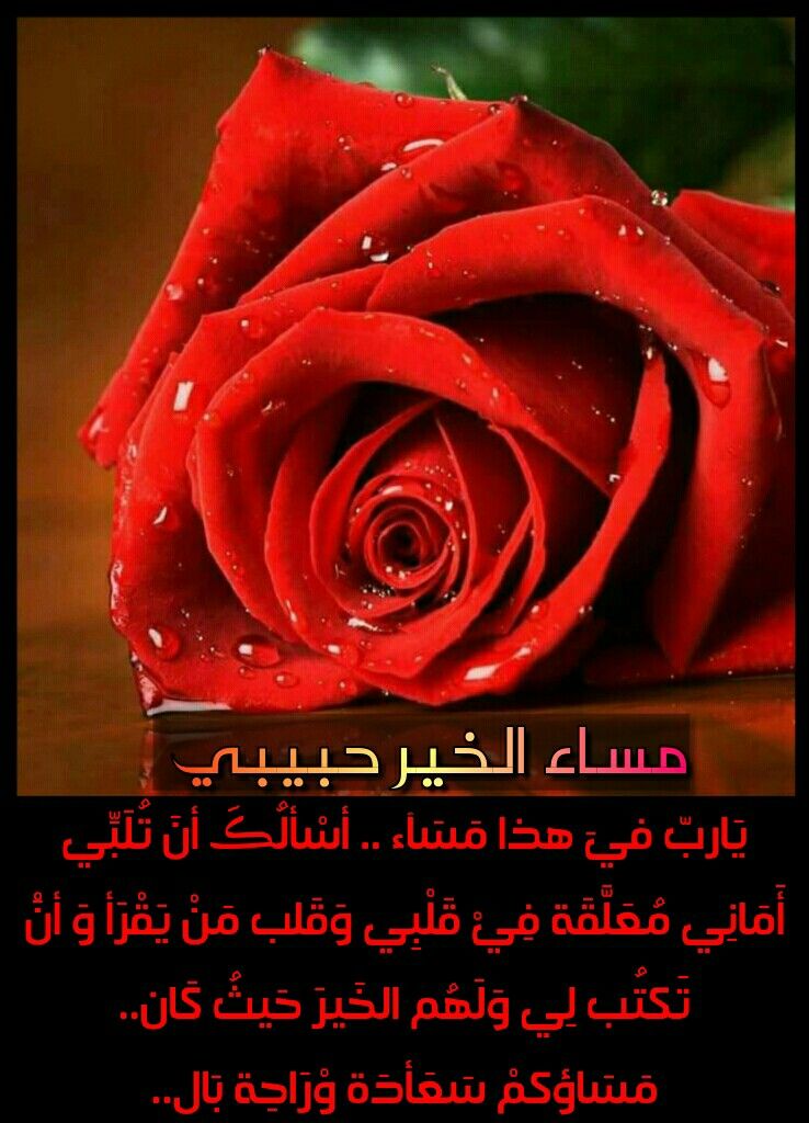 رسائل مسائية للحبيب