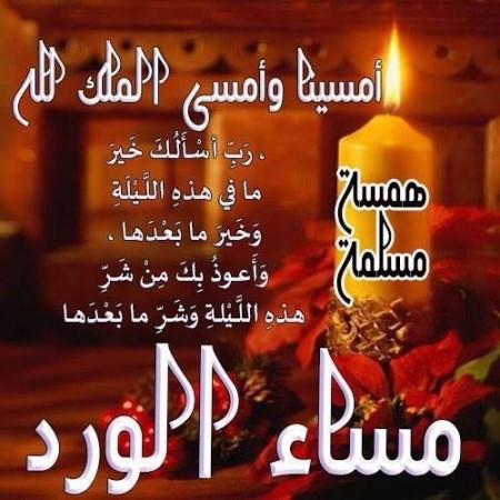 تحية مسائية للاصدقاء