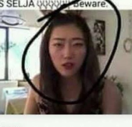 شكل ساليجا 1