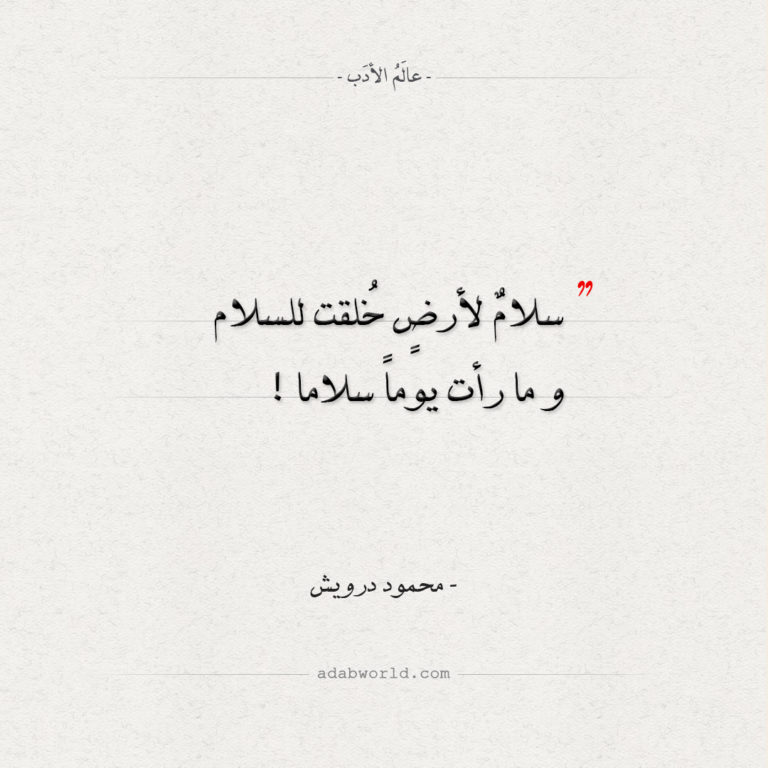 خواطر عن السلام تويتر