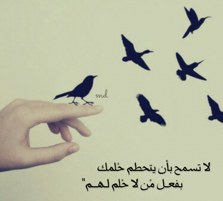 حالات واتس اب جديدة1