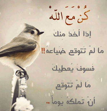 حالات واتس اب حكم وامثال1