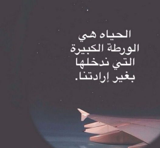 حالات واتس اب جديدة2