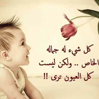 حالات واتس اب حكم وامثال2