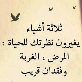 حالات واتس اب جديدة3