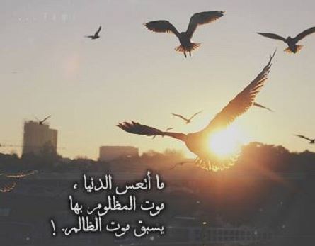 حالات واتس اب عن الدنيا والناس 2