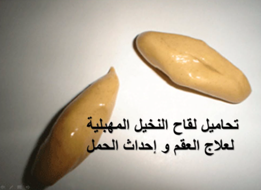 مين استخدمت تحاميل طلع النخيل وحملت