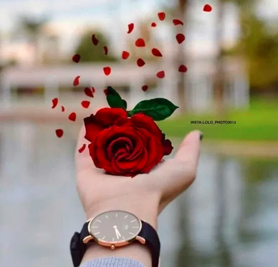 خلفيات واتس اب للبنات 2