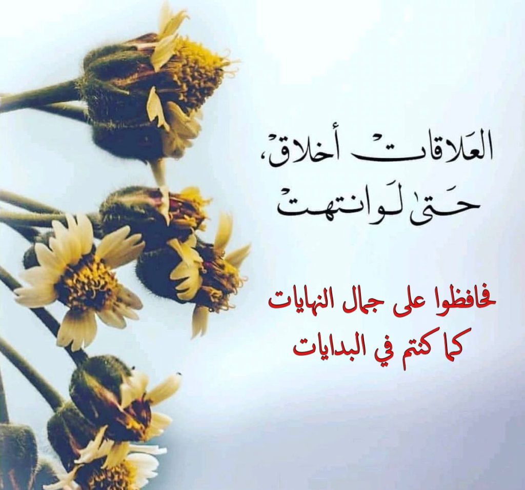 كلام عن النهايات أخلاق