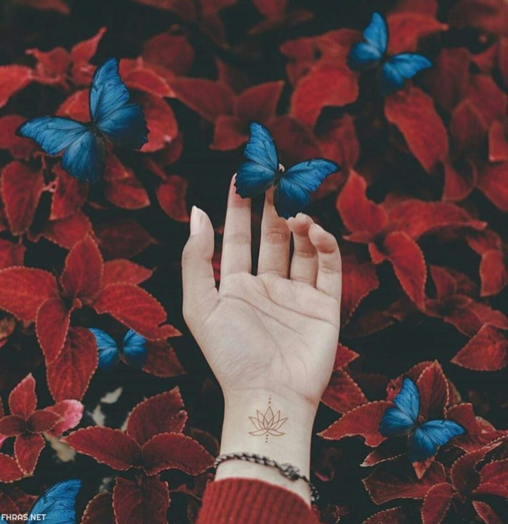 خلفيات واتس اب4
