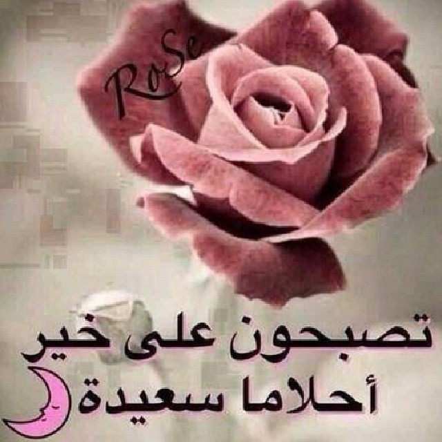 عبارات قبل النوم