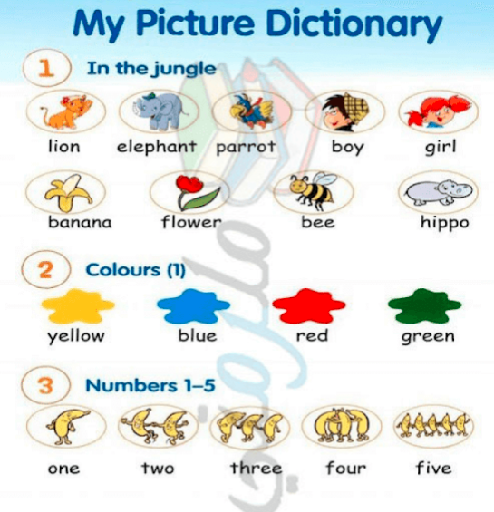 كلمات بالانجليزي للاطفال 2