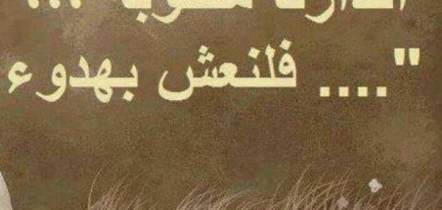 خواطر عن الدنيا والناس سعيدة