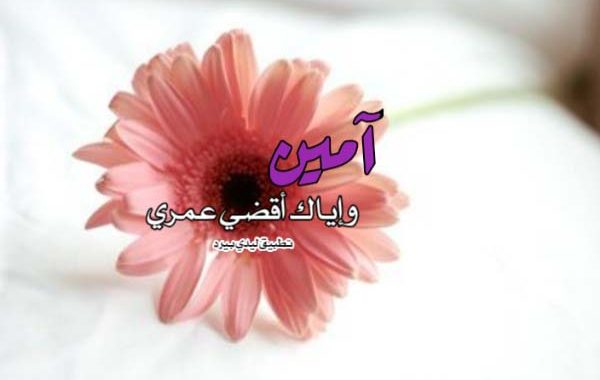 عبارات الرد على طال عمرك 