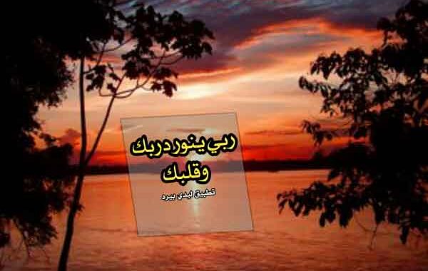 عبارات الرد على نورتي