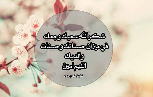 الرد على طيب الله حالك 