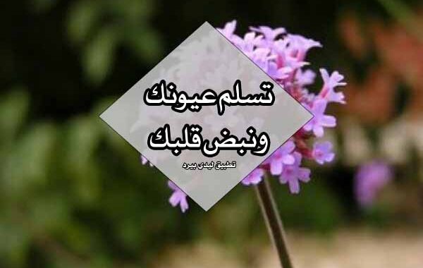 كيف ارد على الكلام الحلو من حبيبي