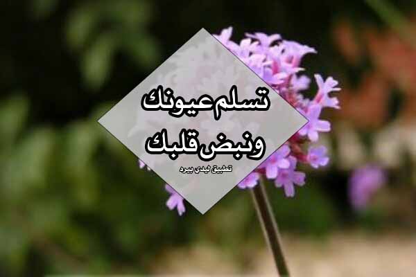 إذا احد قالك عوافي وش ارد 
