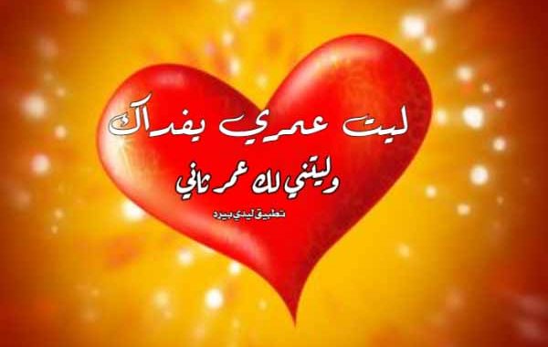 اذا احد قال فداك الكون وش ارد 