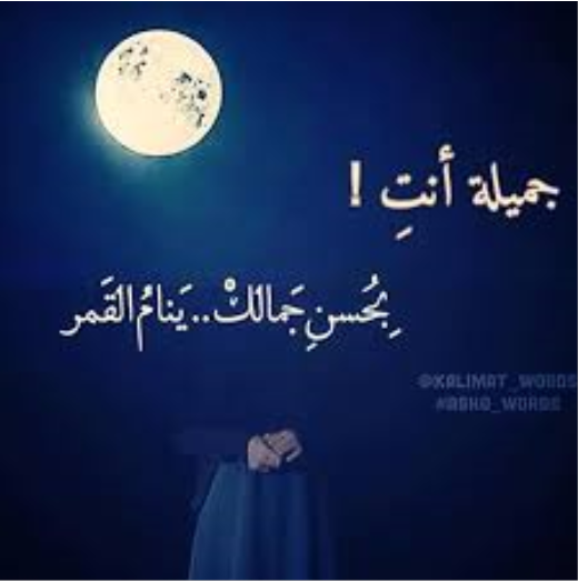 شعر عن القمر والليل