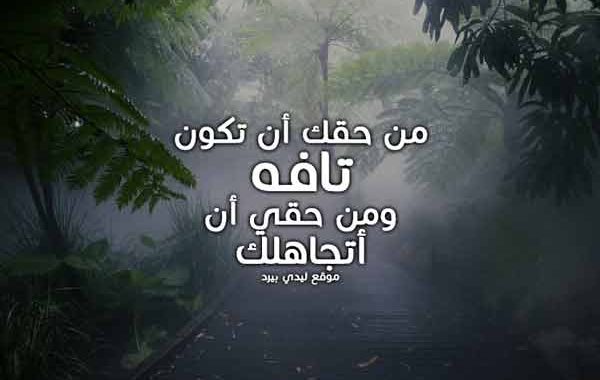  كلمات رد على شخص يقول انت لست من مستواي