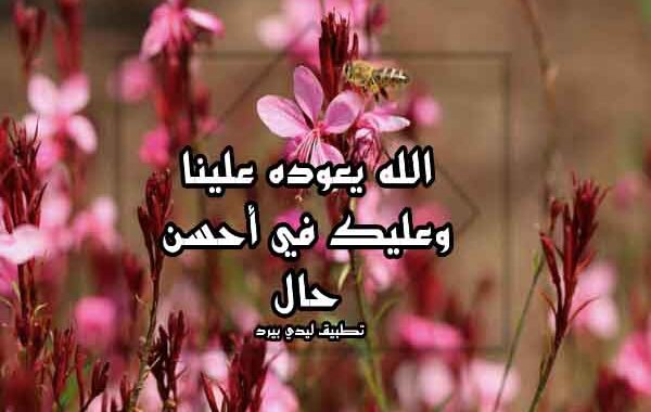 أجمل عبارات الرد على تهنئة رمضان