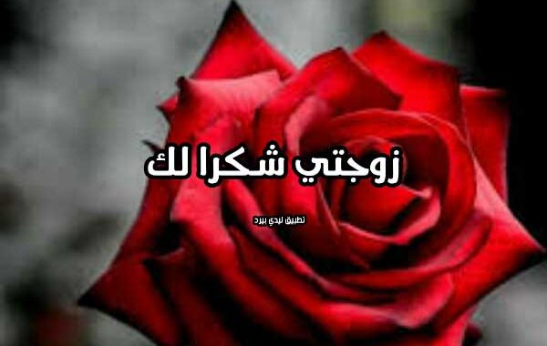 زوجتي الغالية شكرا