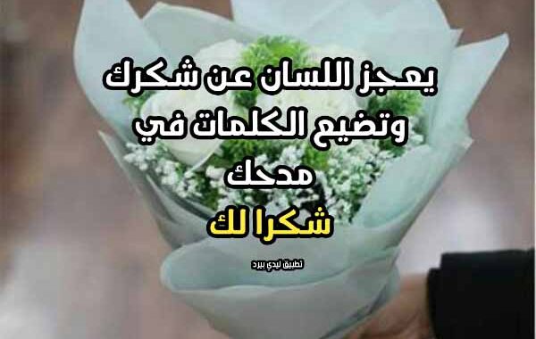 ما هو الرد على كلمة طال عمرك