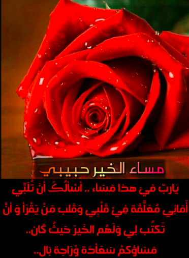 رسائل مسائية للحبيب