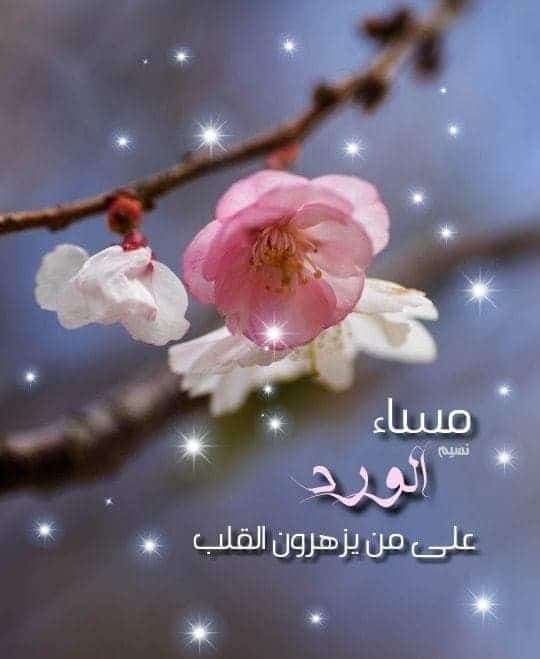 كلمات عن المساء والليل