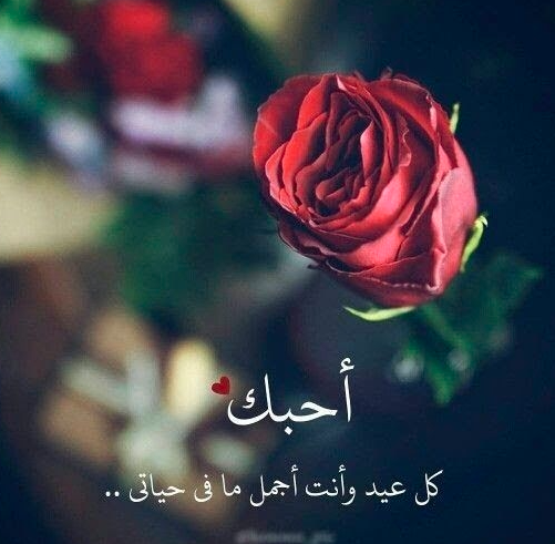تهنئة عيد ميلاد حبيبي