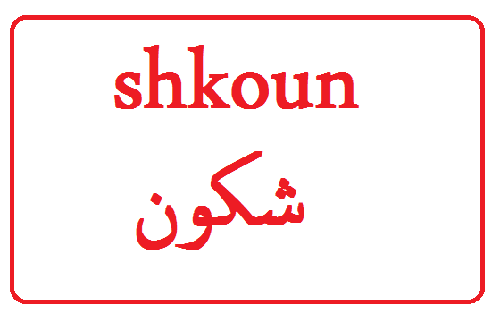 رد على كلمة شكون
