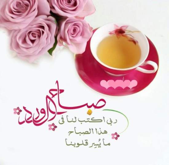 كلمات للرد على صح النور
