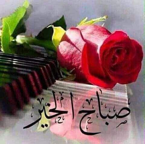 عبارات الرد على صح النوم