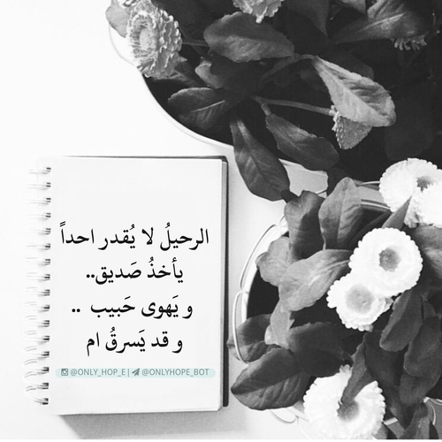 خواطر عن الغياب بالصور ٣