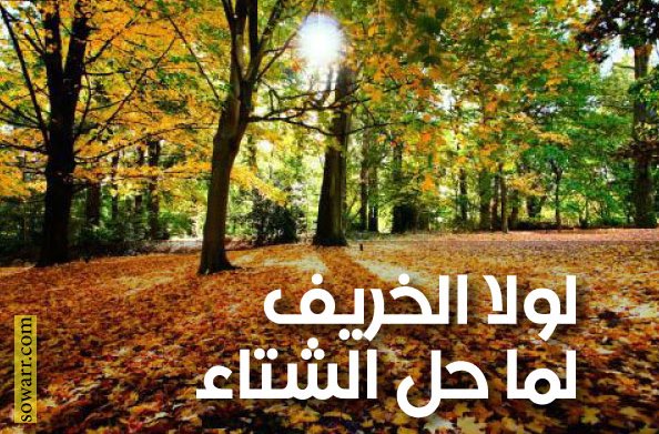 خواطر عن فصل الخريف معبرة