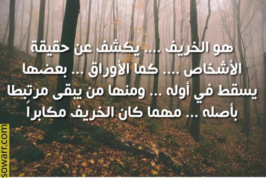 خواطر حلوة عن فصل الخريف
