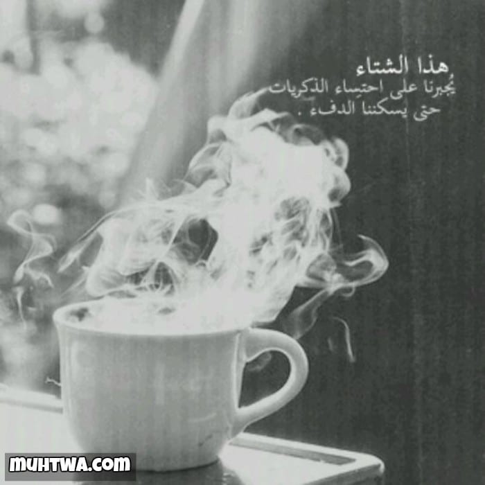 خواطر عن دفئ الشتاء