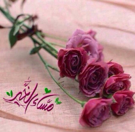 عبارات الرد على مساء الخير 