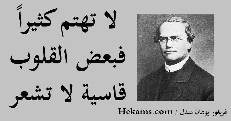 خواطر و أقوال عن القلوب القاسية